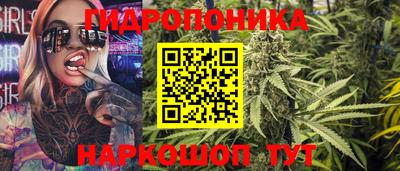 спиды Гусев