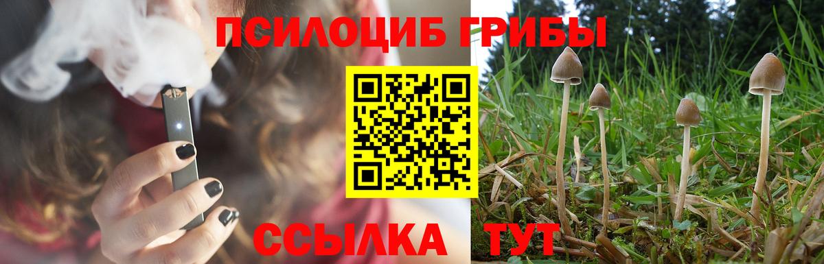 Галлюциногенные грибы мухоморы Майкоп