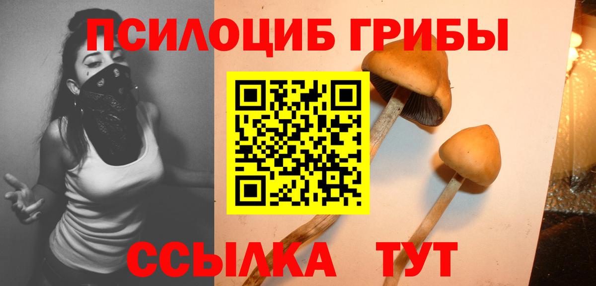 продажа наркотиков  Псилоцибиновые грибы GOLDEN TEACHER  Вход с VPN  Майкоп  Галлюциногенные грибы ЛСД 