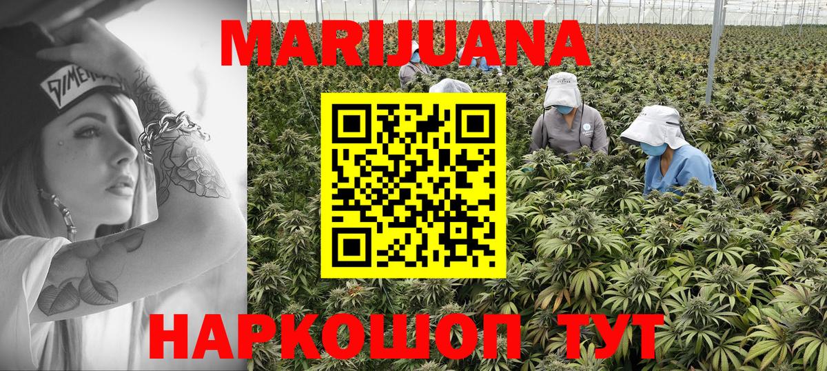 Конопля тримм  Вход с VPN  Конопля план  Бошки Шишки индика  Майкоп 